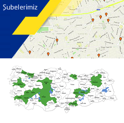 Ergin Oyun şubeler albüm kapağı